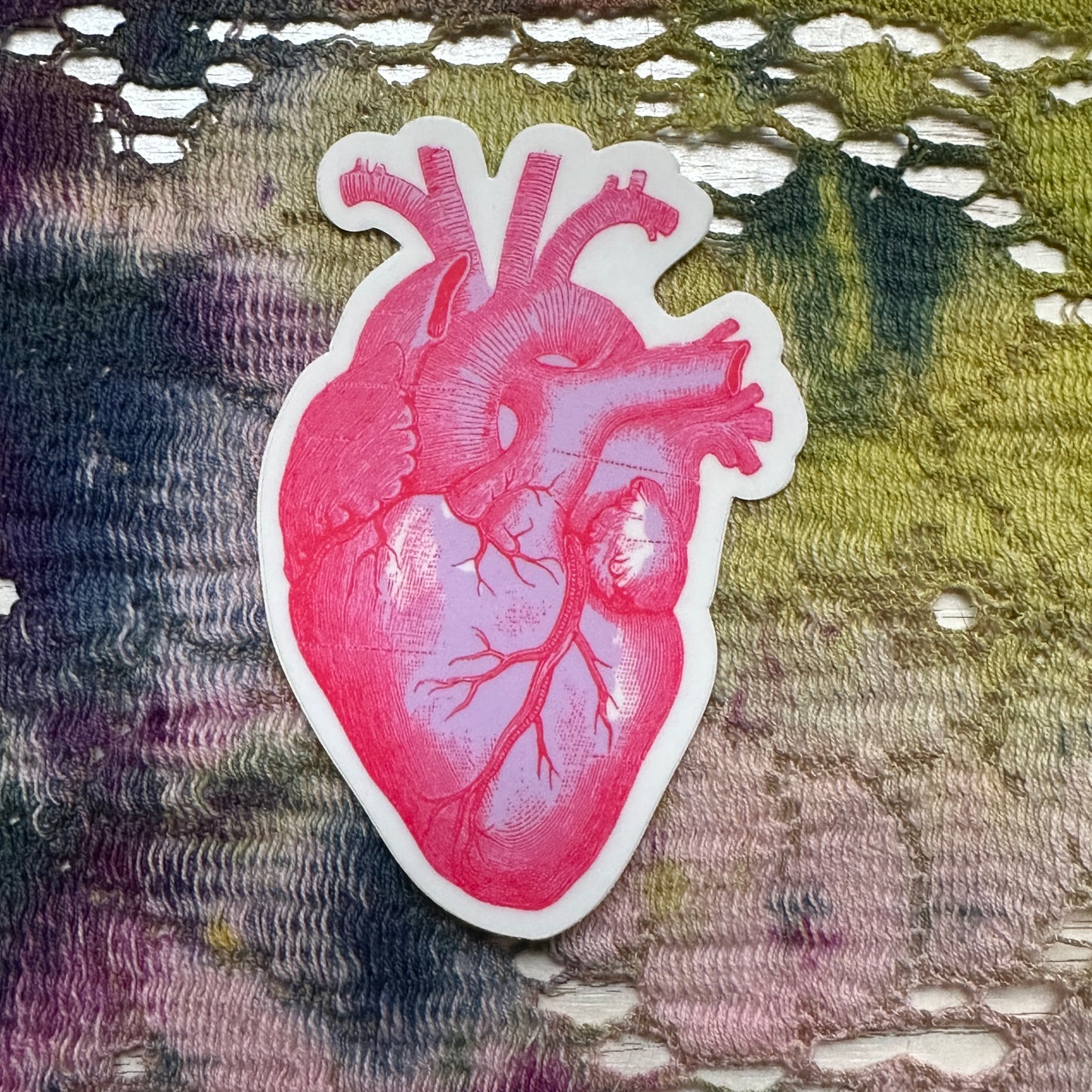Anatomical Heart Sticker