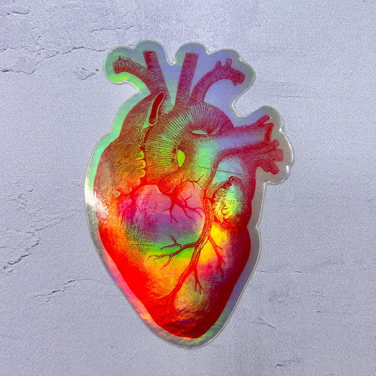 Holo Anatomical Heart