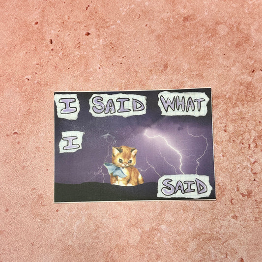 Sassy Cat Sticker: I Said What I Said